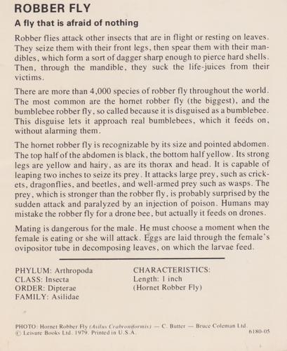 1975-80 Leisure Books Wildlife Treasury #6180-05 Robber Fly Back