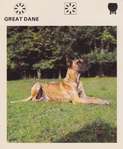 1975-80 Leisure Books Wildlife Treasury #6180-11 Great Dane Front