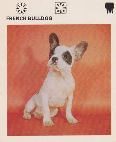 1975-80 Leisure Books Wildlife Treasury #6180-18 French Bulldog Front