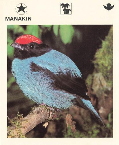 1975-80 Leisure Books Wildlife Treasury #6180-20 Manakin Front