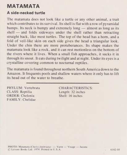 1975-80 Leisure Books Wildlife Treasury #6182-05 Matamata Back
