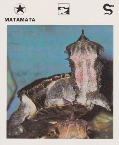1975-80 Leisure Books Wildlife Treasury #6182-05 Matamata Front