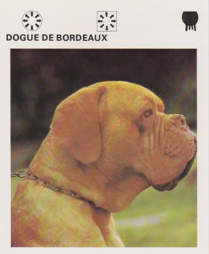 1975-80 Leisure Books Wildlife Treasury #6183-03 Dogue De Bordeaux Front