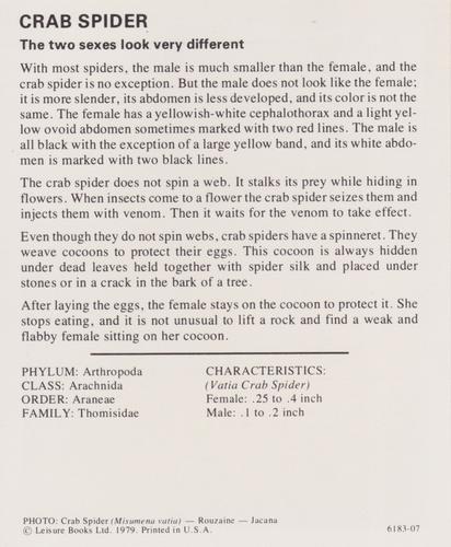 1975-80 Leisure Books Wildlife Treasury #6183-07 Crab Spider Back