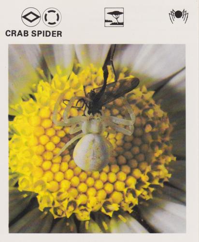 1975-80 Leisure Books Wildlife Treasury #6183-07 Crab Spider Front
