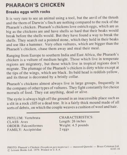 1975-80 Leisure Books Wildlife Treasury #6183-16 Pharaoh's Chicken Back