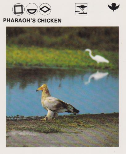 1975-80 Leisure Books Wildlife Treasury #6183-16 Pharaoh's Chicken Front