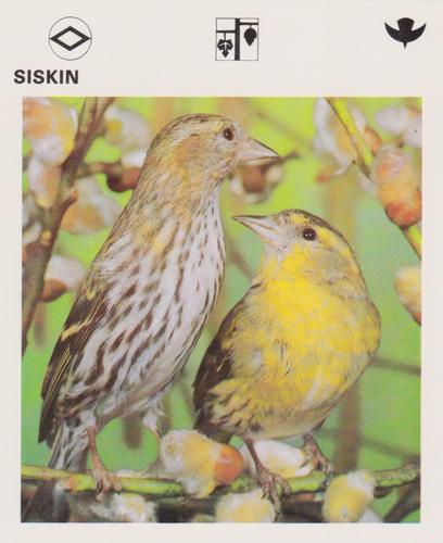 1975-80 Leisure Books Wildlife Treasury #6184-06 Siskin Front