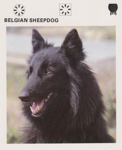 1975-80 Leisure Books Wildlife Treasury #6184-12 Belgian Sheepdog Front