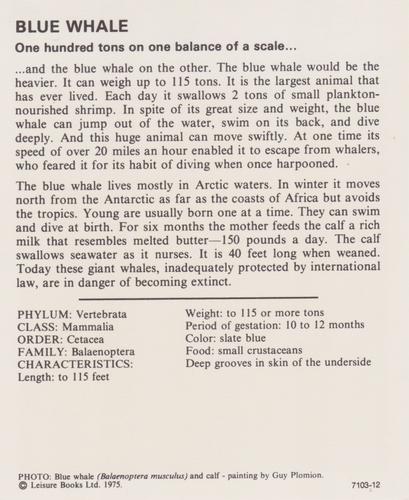 1975-80 Leisure Books Wildlife Treasury #7103-12 Blue Whale Back
