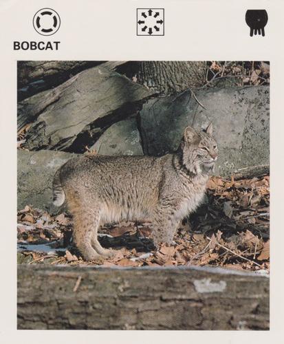 1975-80 Leisure Books Wildlife Treasury #7179-01 Bobcat Front