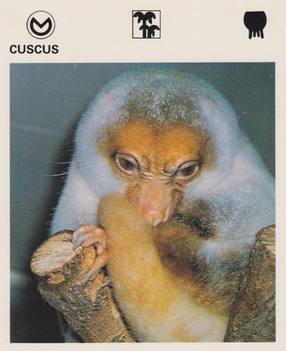1975-80 Leisure Books Wildlife Treasury #7179-02 Cuscus Front