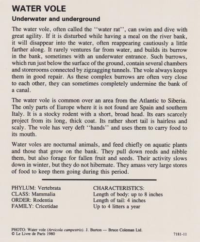 1975-80 Leisure Books Wildlife Treasury #7181-11 Water Vole Back