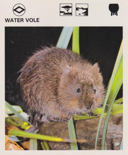 1975-80 Leisure Books Wildlife Treasury #7181-11 Water Vole Front