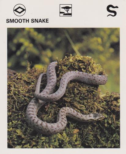 1975-80 Leisure Books Wildlife Treasury #7183-07 Smooth Snake Front