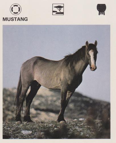 1975-80 Leisure Books Wildlife Treasury #7184-07 Mustang Front