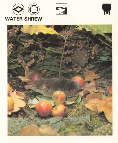 1975-80 Leisure Books Wildlife Treasury #7300-12 Water Shrew Front