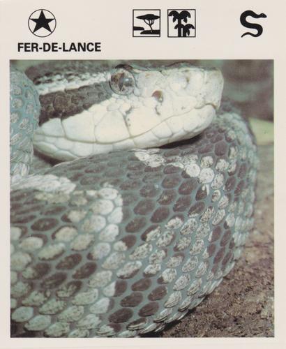 1975-80 Leisure Books Wildlife Treasury #7300-19 Fer-De-Lance Front