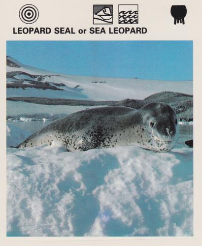 1975-80 Leisure Books Wildlife Treasury #7302-21 Leopard Seal or Sea Leopard Front