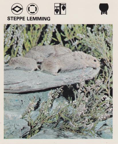 1975-80 Leisure Books Wildlife Treasury #7302-22 Steppe Lemming Front