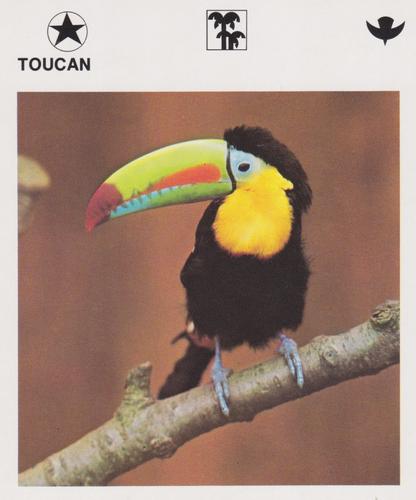 1975-80 Leisure Books Wildlife Treasury #SC/D29-2 Toucan Front