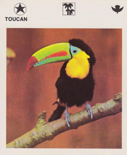 1975-80 Leisure Books Wildlife Treasury #SC/T36-2 Toucan Front