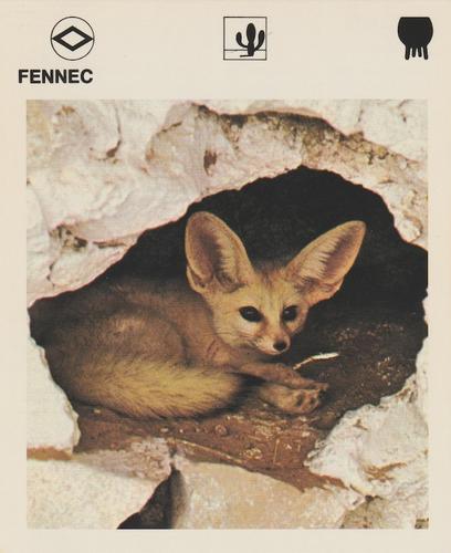 1975-80 Leisure Books Wildlife Treasury #6112-04 Fennec Front