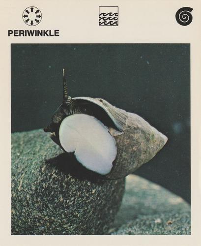 1975-80 Leisure Books Wildlife Treasury #6112-14 Periwinkle Front