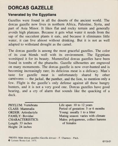 1975-80 Leisure Books Wildlife Treasury #6113-01 Dorcas Gazelle Back