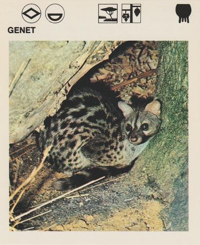 1975-80 Leisure Books Wildlife Treasury #6113-08 Genet Front