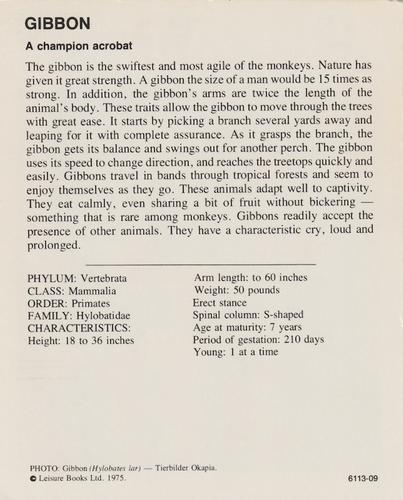 1975-80 Leisure Books Wildlife Treasury #6113-09 Gibbon Back