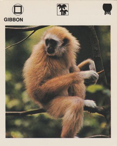 1975-80 Leisure Books Wildlife Treasury #6113-09 Gibbon Front