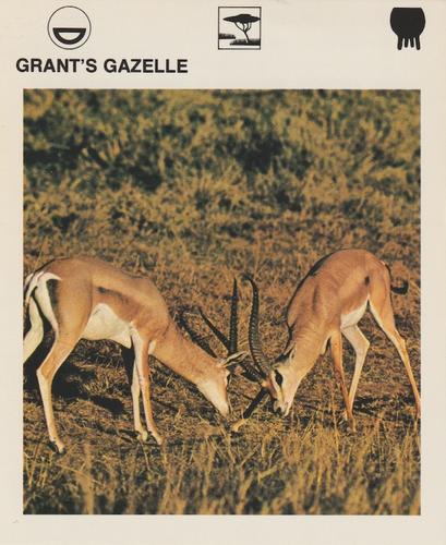 1975-80 Leisure Books Wildlife Treasury #6113-16 Grant's Gazelle Front