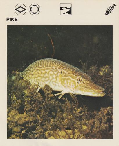 1975-80 Leisure Books Wildlife Treasury #6114-19 Pike Front