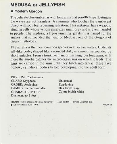 1975-80 Leisure Books Wildlife Treasury #6120-14 Medusa or Jellyfish Back