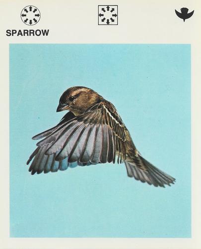 1975-80 Leisure Books Wildlife Treasury #6120-20 Sparrow Front