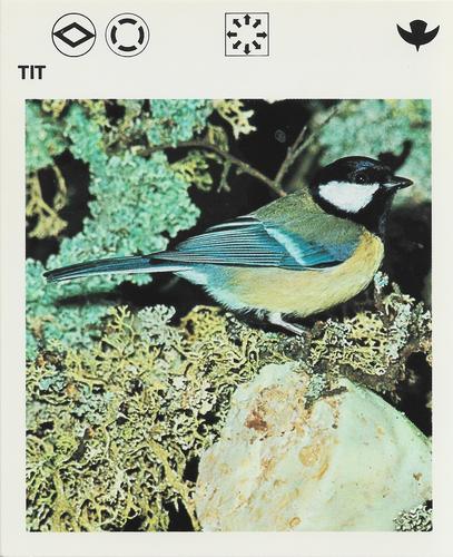 1975-80 Leisure Books Wildlife Treasury #6120-22 Tit Front