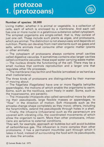 1975-80 Leisure Books Wildlife Treasury - Zoological Classifications #6700-01 Protozoa (Protozoans) Front