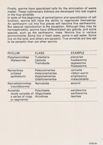 1975-80 Leisure Books Wildlife Treasury - Zoological Classifications #6700-04 Worms (3 Phyla) Back