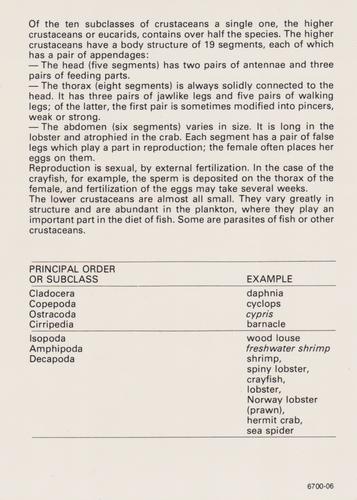 1975-80 Leisure Books Wildlife Treasury - Zoological Classifications #6700-06 Crustacea (Crustaceans) Back