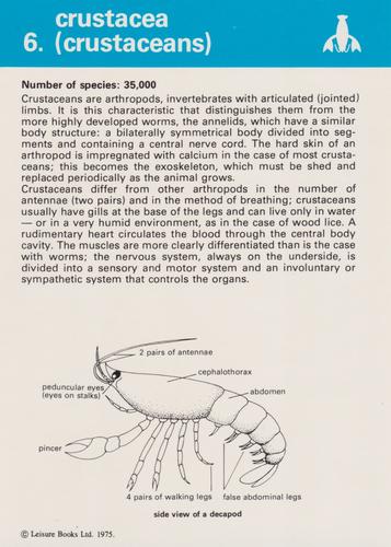 1975-80 Leisure Books Wildlife Treasury - Zoological Classifications #6700-06 Crustacea (Crustaceans) Front