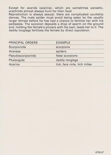 1975-80 Leisure Books Wildlife Treasury - Zoological Classifications #6700-07 Arachnida (Arachnids) Back