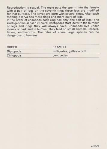 1975-80 Leisure Books Wildlife Treasury - Zoological Classifications #6700-08 Myriapoda (Myriapods) Back