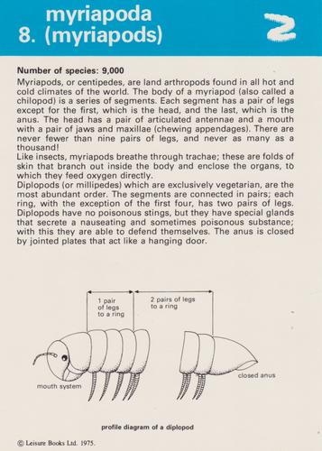1975-80 Leisure Books Wildlife Treasury - Zoological Classifications #6700-08 Myriapoda (Myriapods) Front