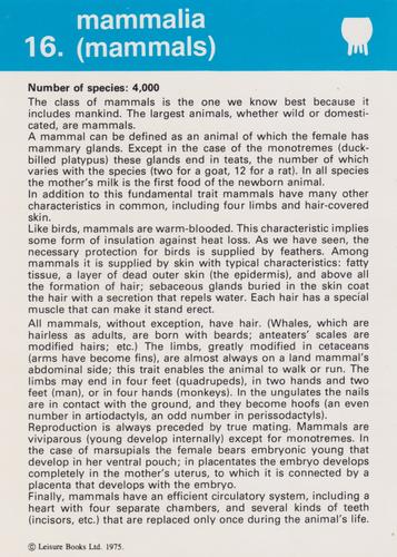 1975-80 Leisure Books Wildlife Treasury - Zoological Classifications #6700-16 Mammalia (Mammals) Front