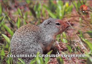 2017 Glacier National Park Conservancy #NNO Columbian Ground Squirrel Front