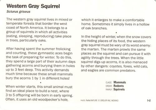 1991-95 Grolier Wildlife Adventure Cards #1.2 Western Gray Squirrel Back