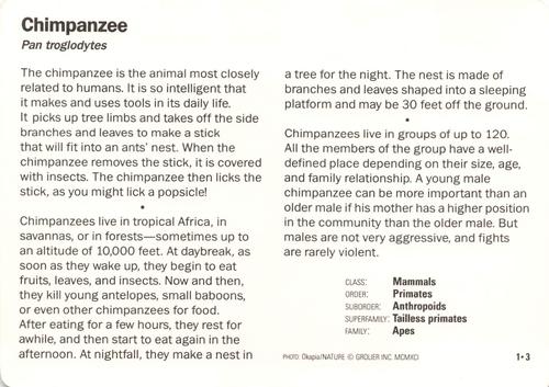 1991-95 Grolier Wildlife Adventure Cards #1.3 Chimpanzee Back