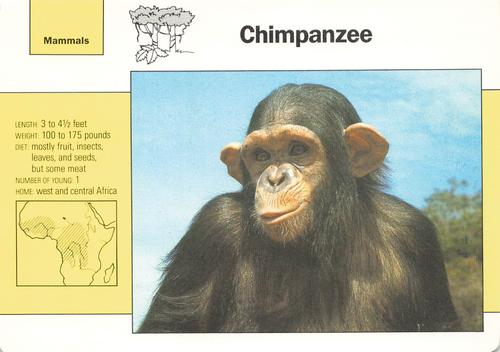 1991-95 Grolier Wildlife Adventure Cards #1.3 Chimpanzee Front