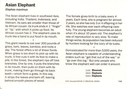 1991-95 Grolier Wildlife Adventure Cards #1.6 Asian Elephant Back